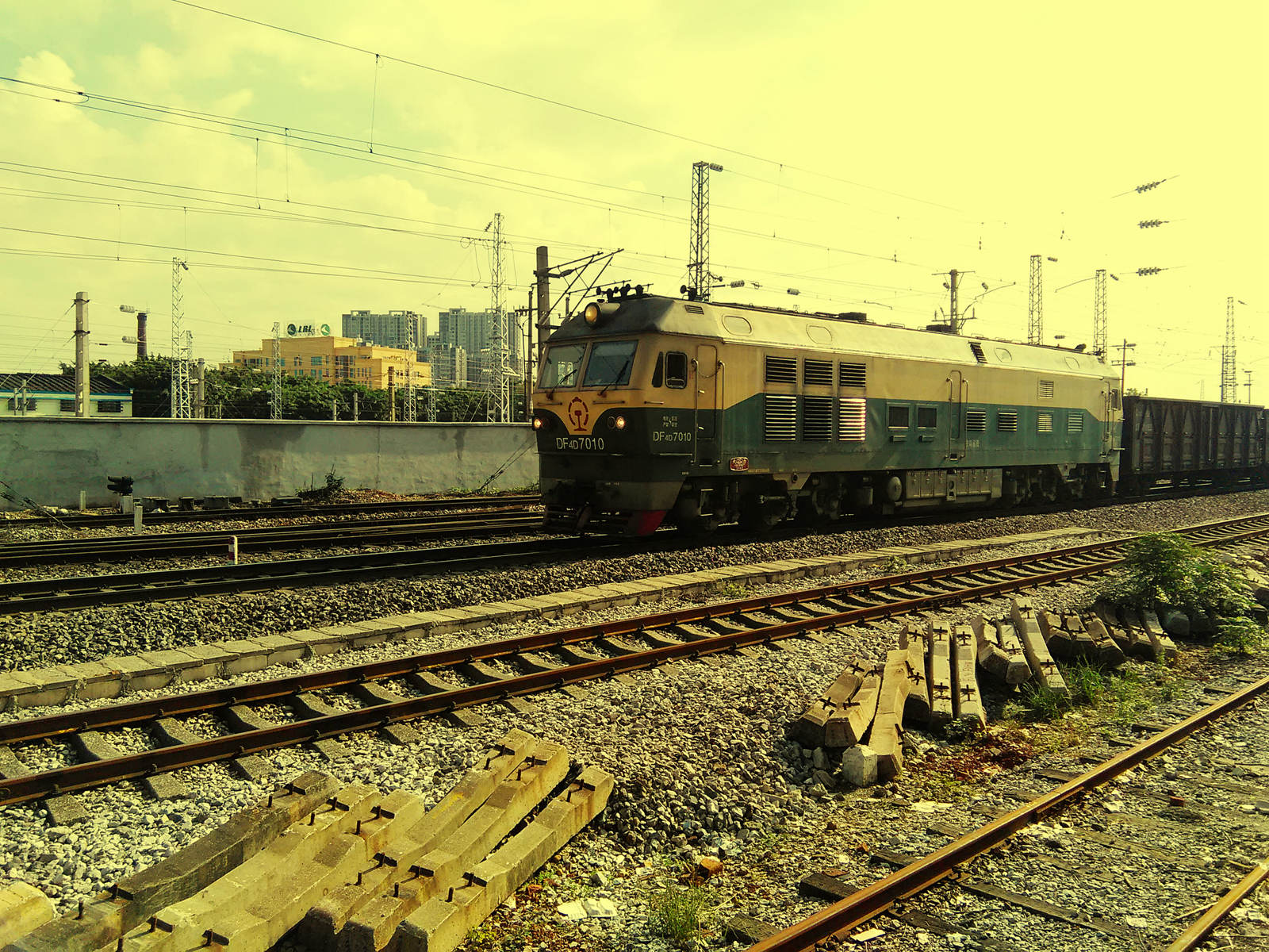 DF4D 7010.jpg