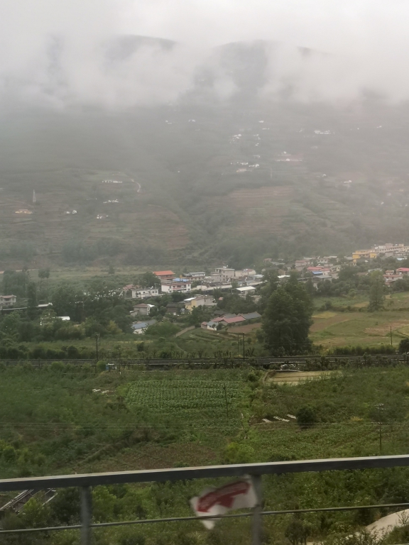 P2.jpg