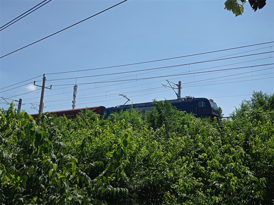 IMG_20210801_104406.jpg