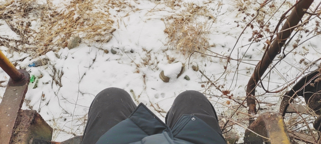 wx_camera_1642834467826.jpg