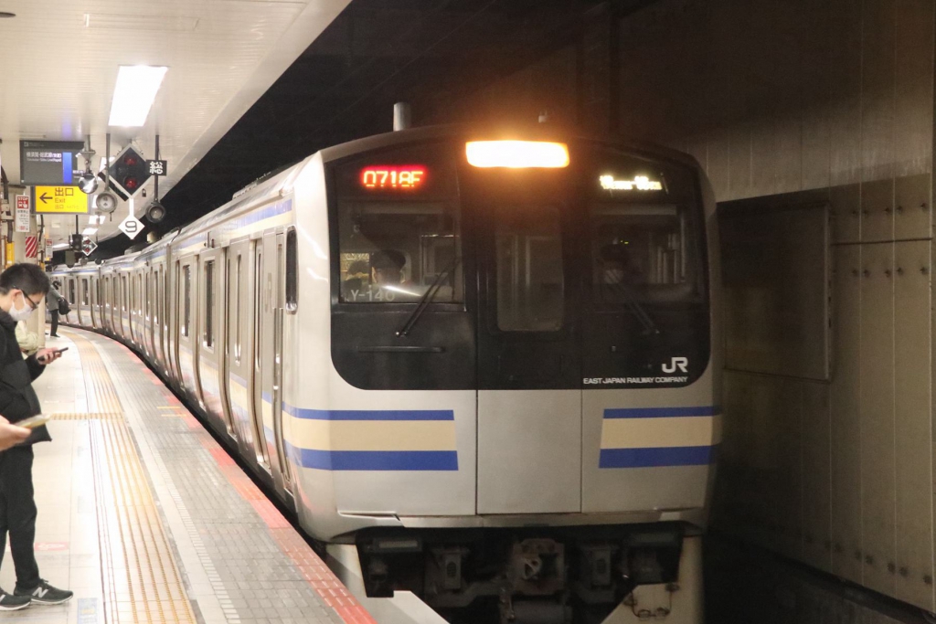 E217进东京站.JPG