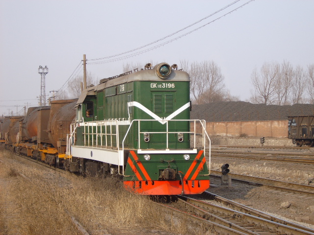3196.jpg