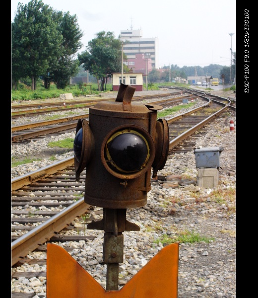 47.JPG