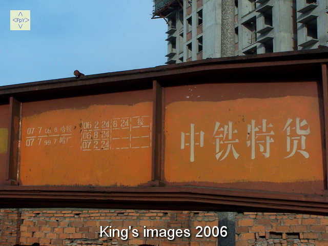 81.JPG