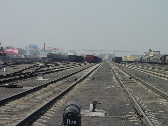 DSC03660.jpg