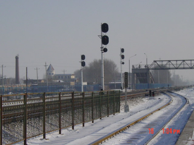 DSC06088.JPG