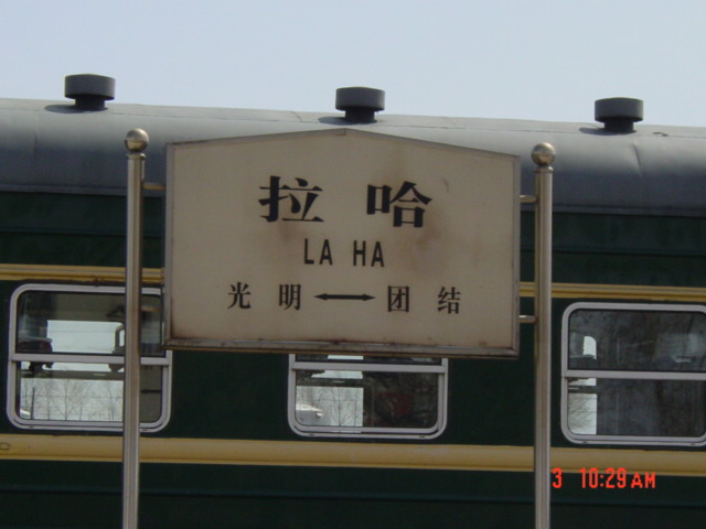 DSC07394.JPG