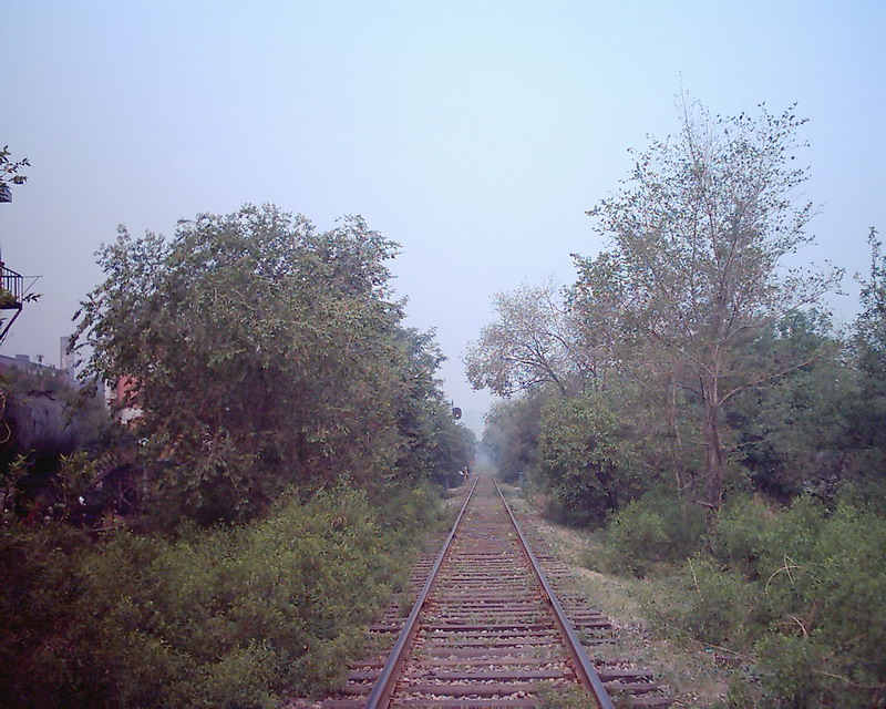 DSCK0001.jpg