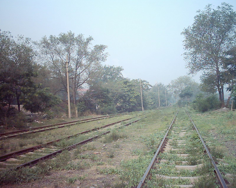 DSCK0003.jpg