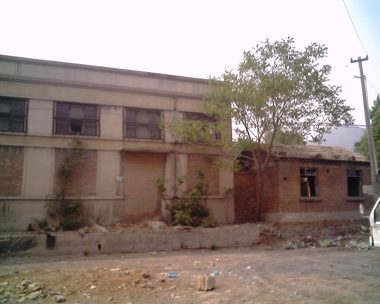 IMG0786A.jpg
