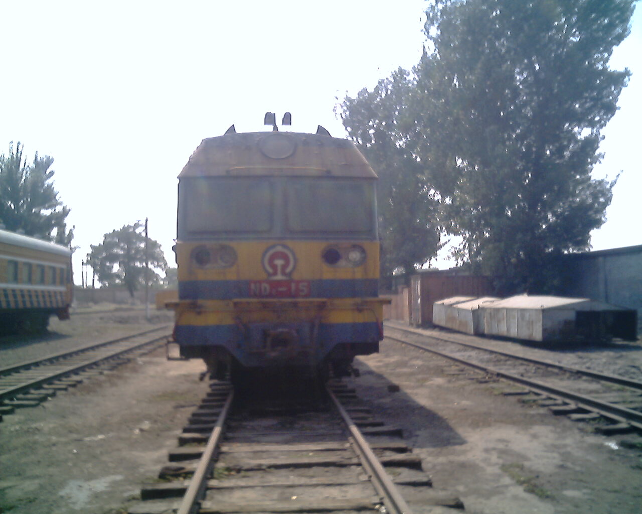 IMG1742A.jpg