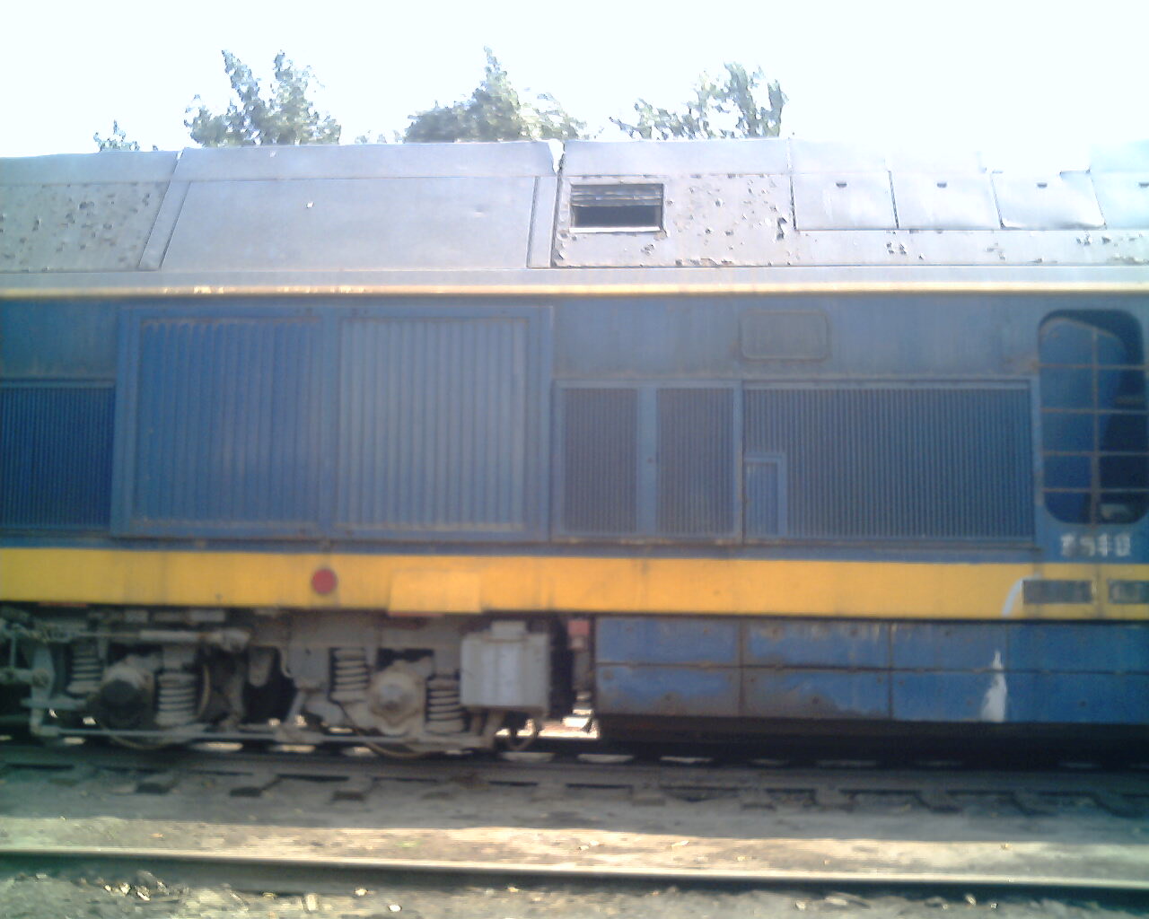 IMG1765A.jpg