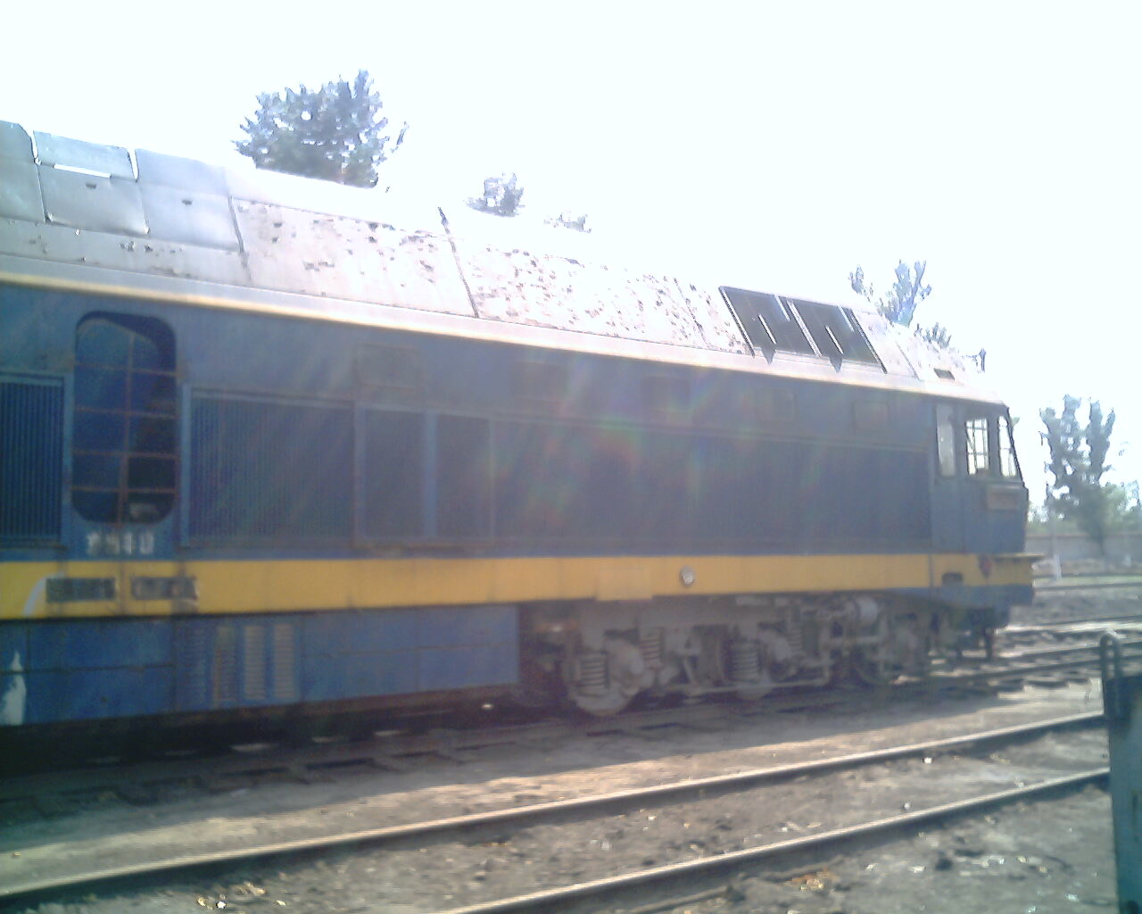IMG1766A.jpg