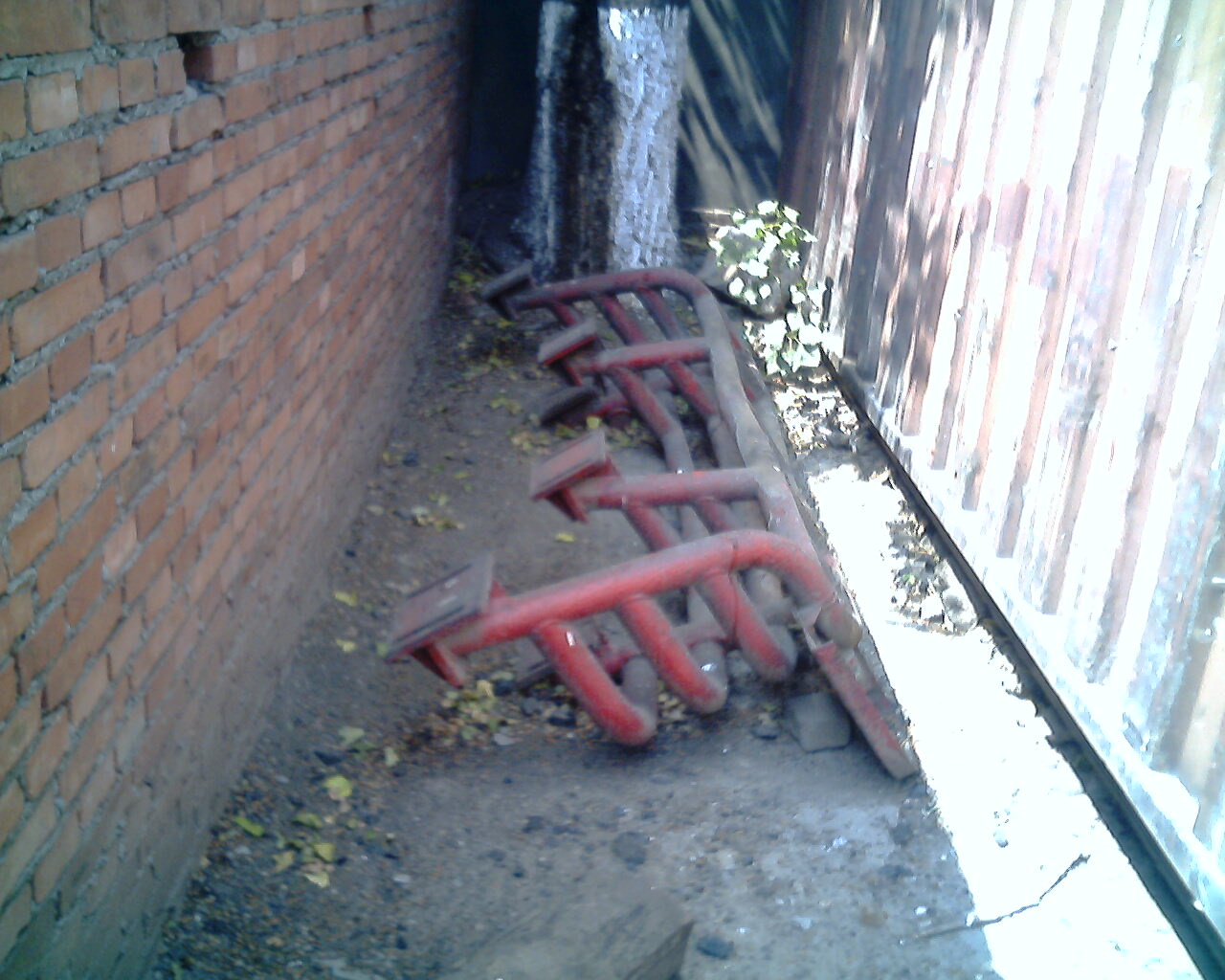 IMG1767A.jpg