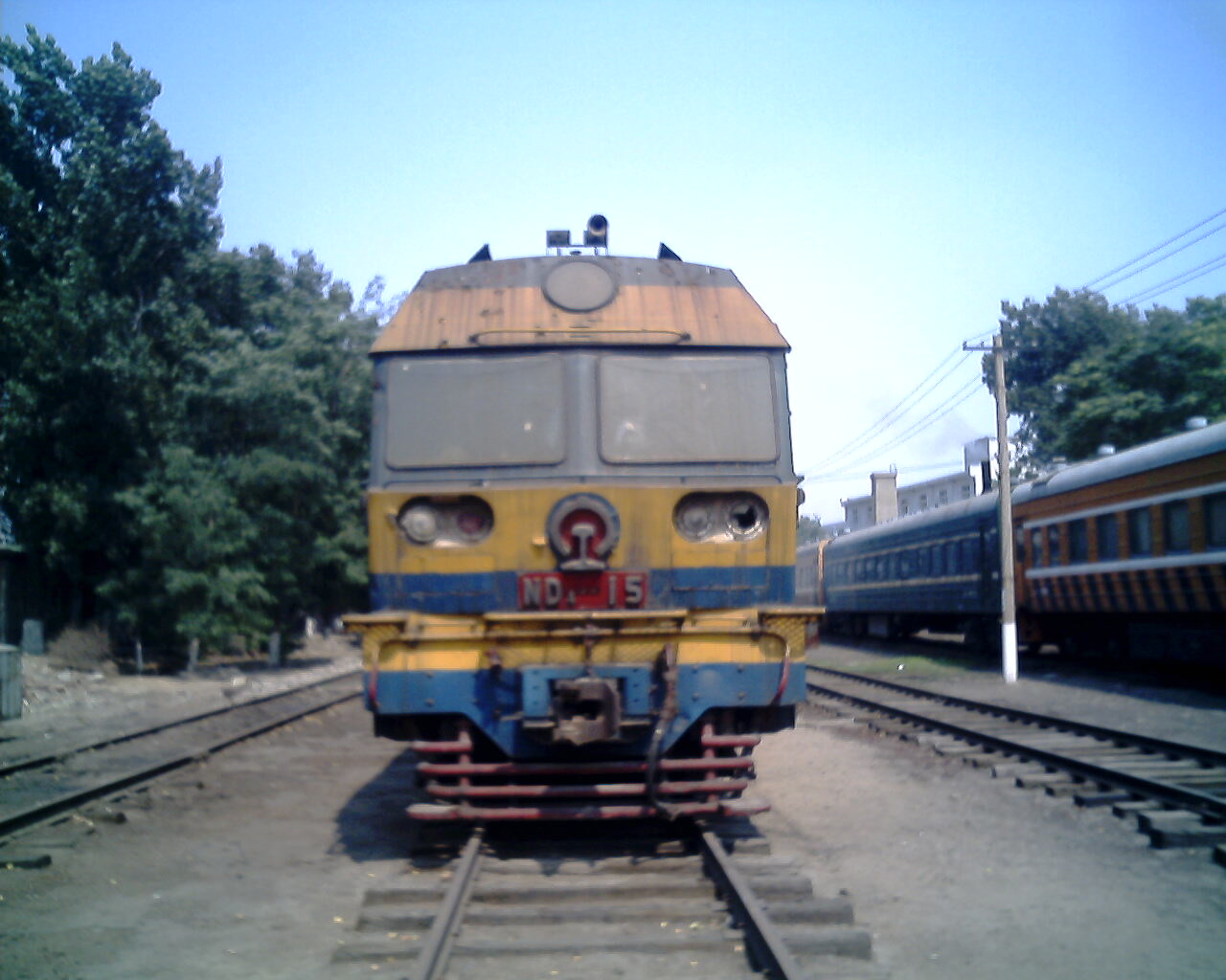 IMG1769A.jpg
