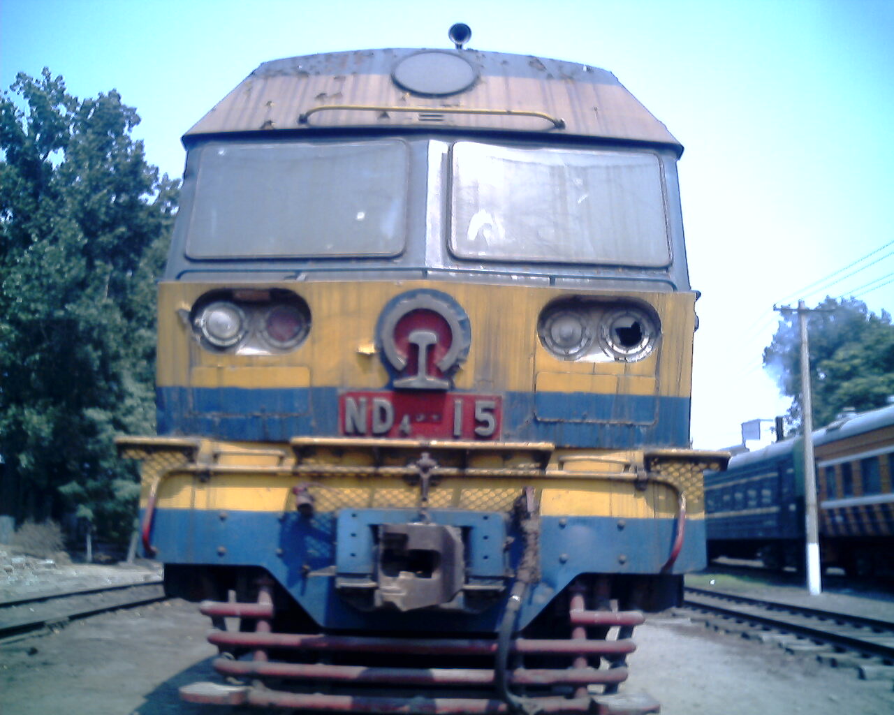 IMG1771A.jpg