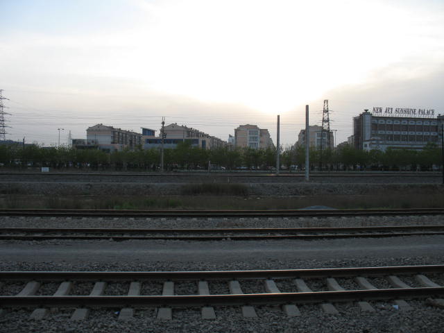 IMG_0833.jpg