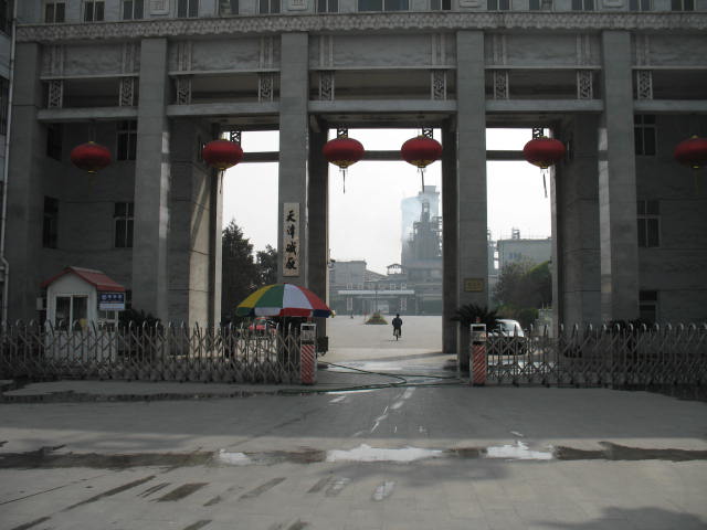IMG_0915.jpg