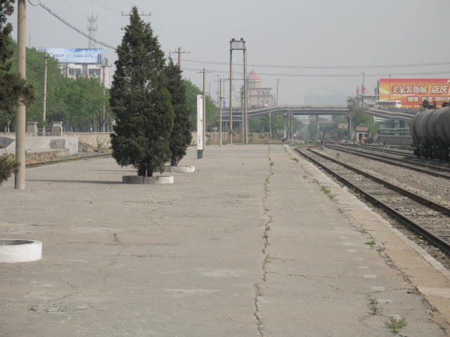 IMG_0920.jpg