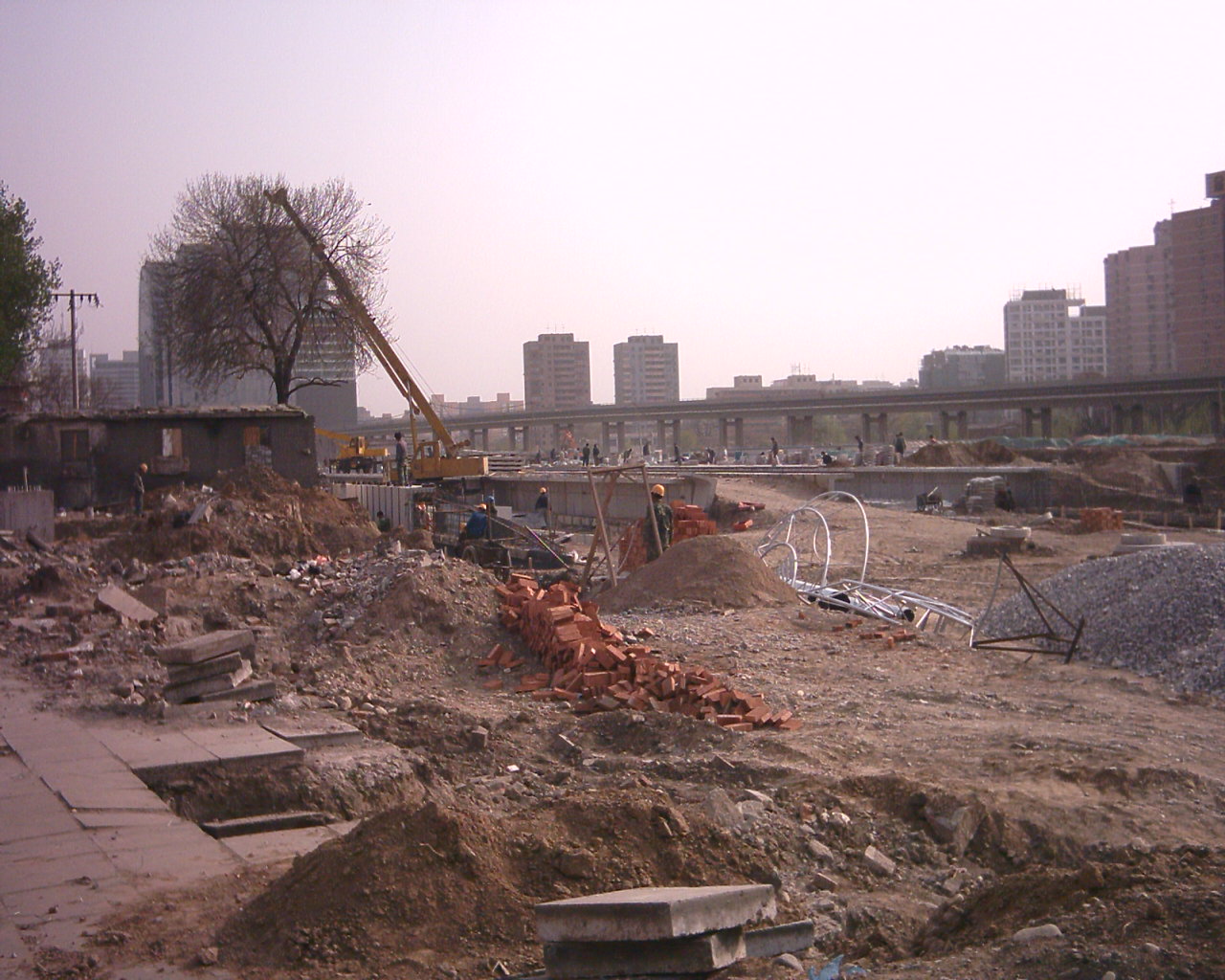 PCDV0018.JPG