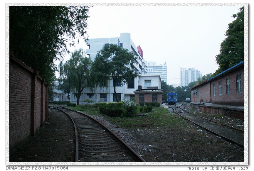PICT8572.JPG