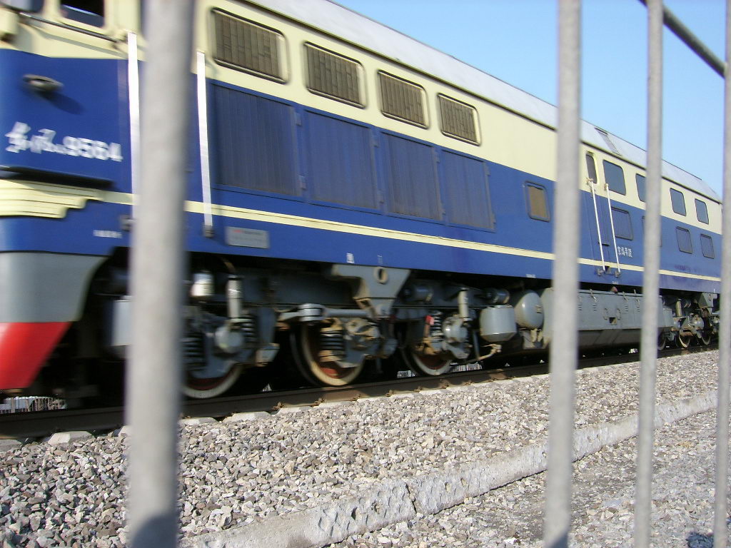 SSA50497.jpg