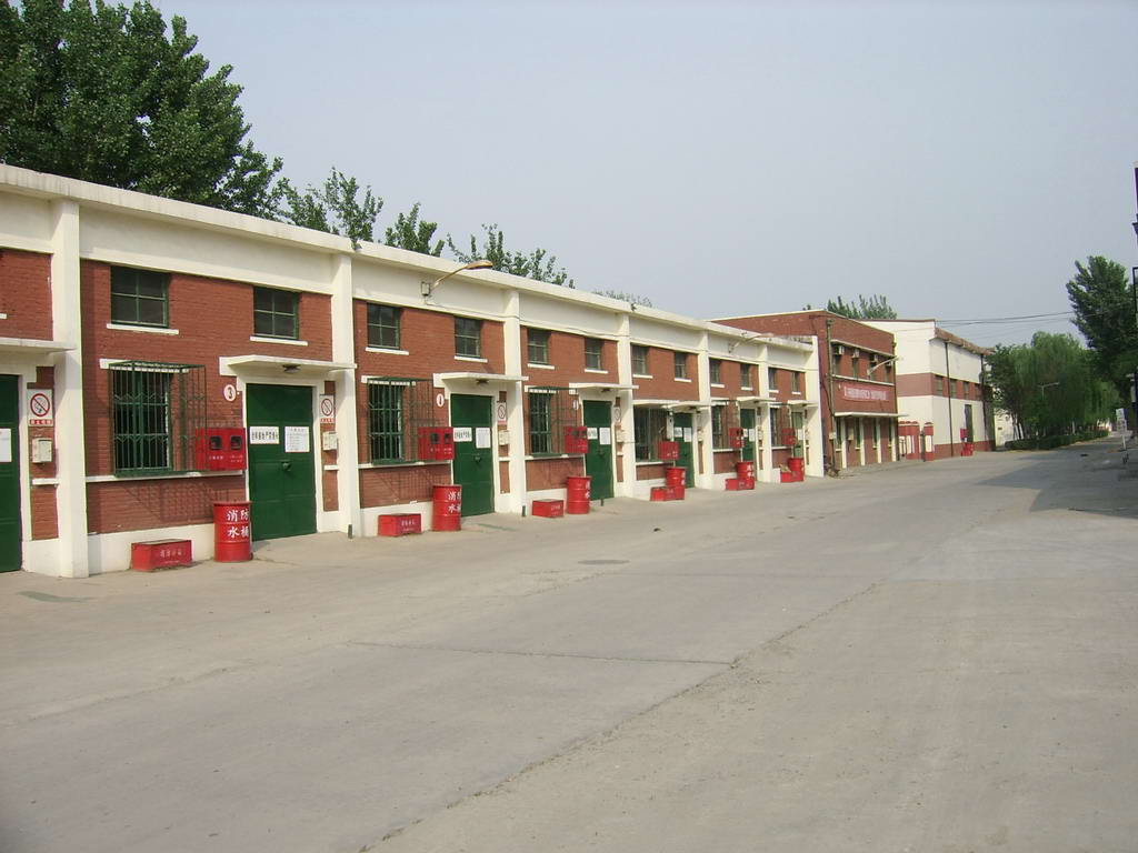 SSA50559.jpg