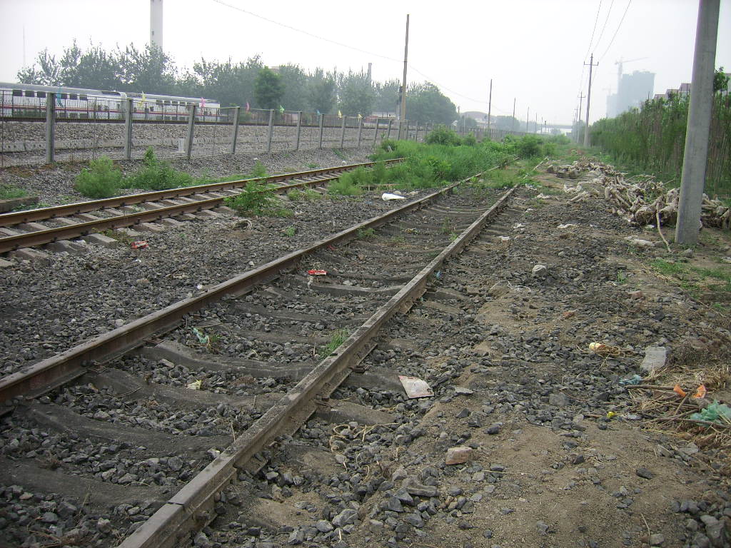 SSA50645.JPG