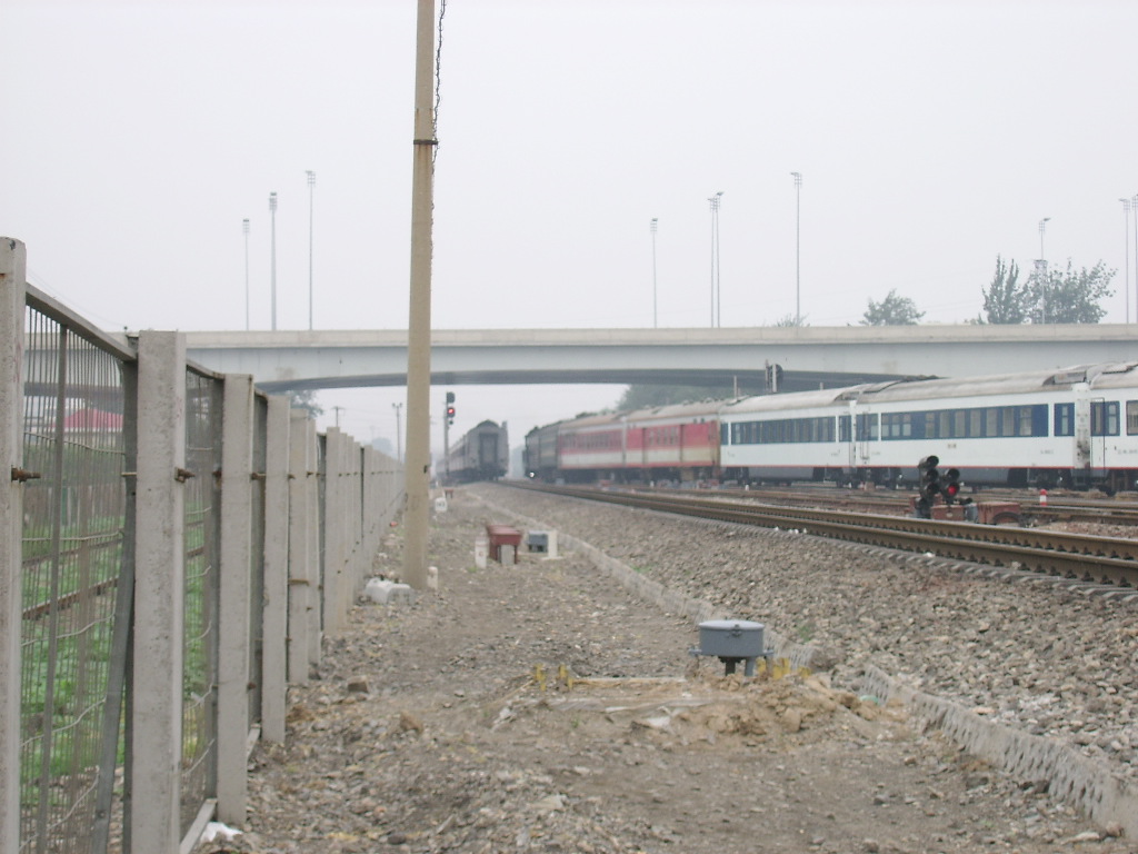 SSA50650.JPG