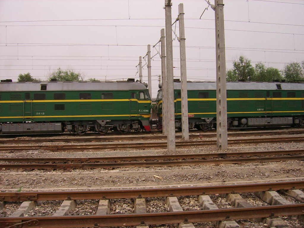 SSA50679.jpg