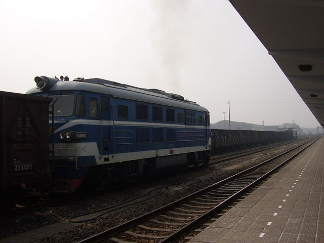 STA41193.JPG