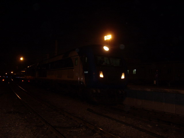 STA42491.JPG