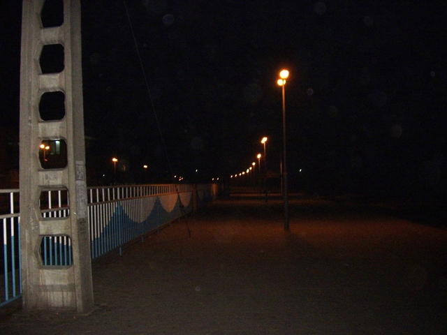 STA44919.JPG