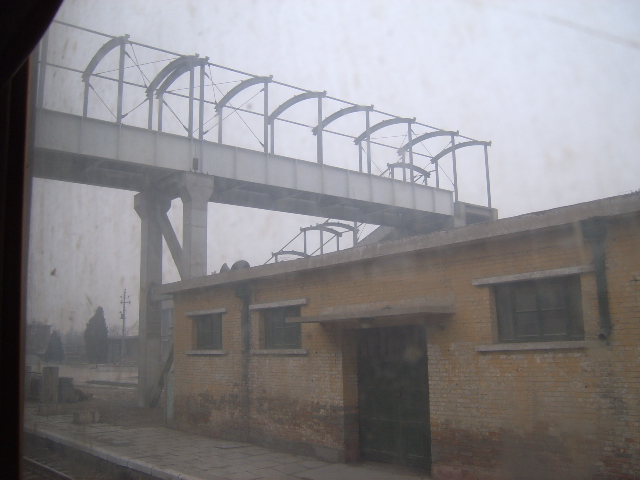 SUC50642.JPG