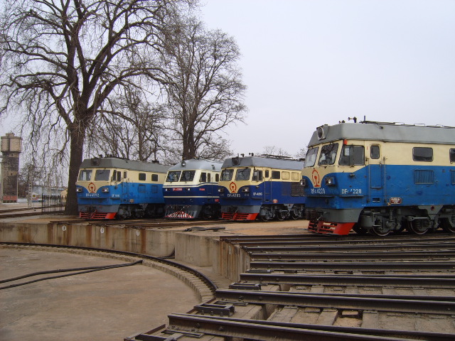 SUC51297.JPG