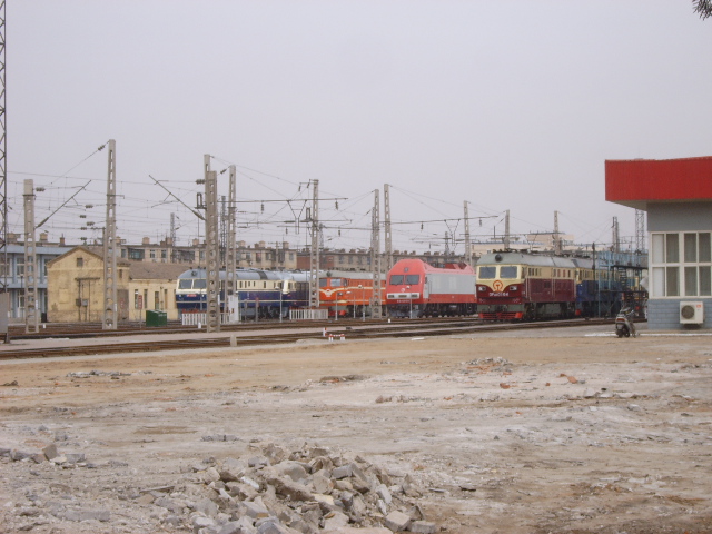 SUC51298.JPG