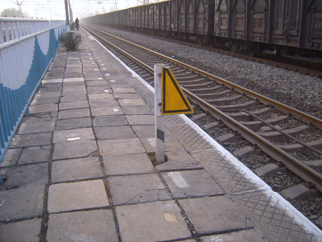 SUC51525.JPG