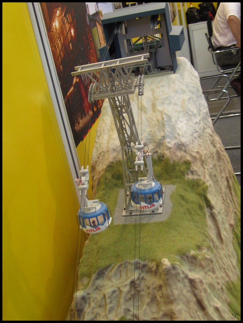 conew_img_2569.jpg