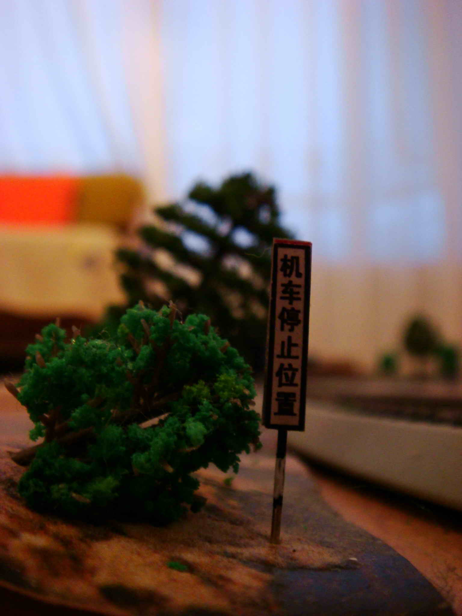 DSC00455.jpg