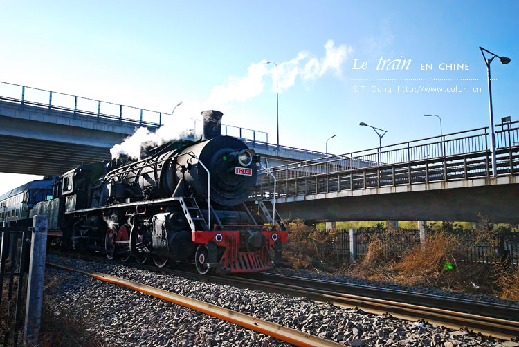 2007_12020006_xryNHxcnNThp.jpg