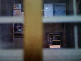 IMG0095A.jpg