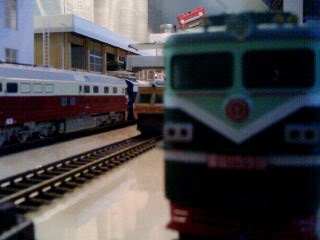 IMG0080A.jpg