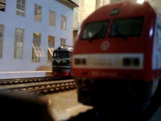 IMG0091A.jpg