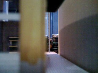 IMG0096A.jpg