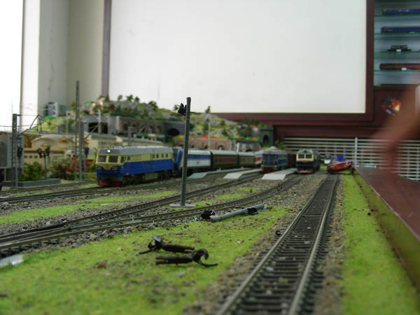 DSCN1432.JPG