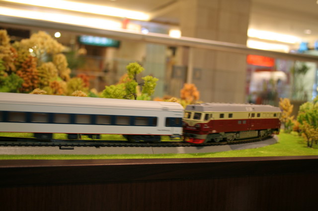 IMG_0091_缩小大小.JPG