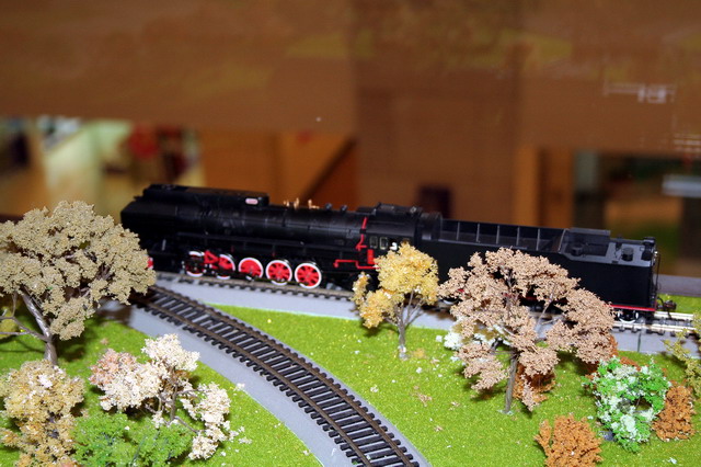 IMG_0206_缩小大小.jpg