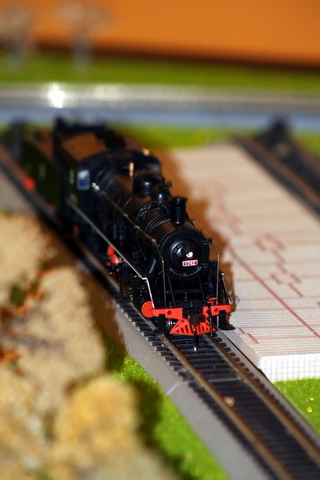 IMG_0320_缩小大小.jpg