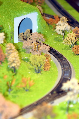IMG_0335_缩小大小.jpg