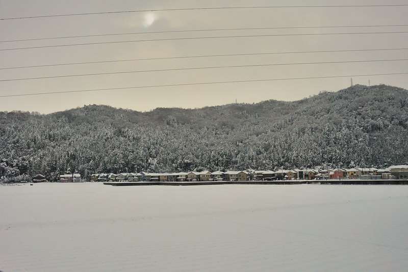 雪原.jpg